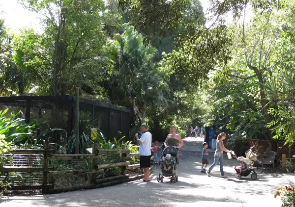 Families enjoy a sunny day at the zoo.