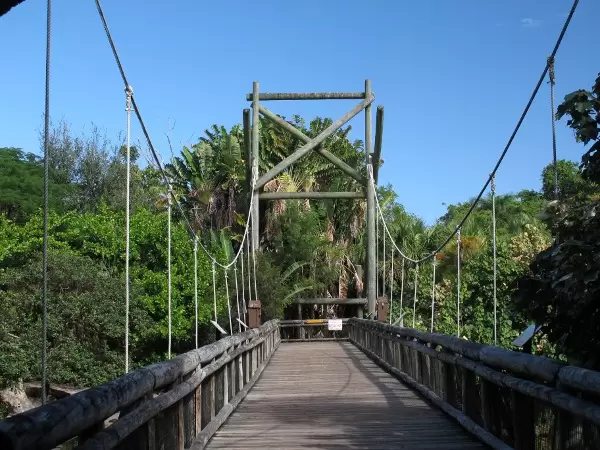 The suspension bridge in the Tropics of the Americas exhibit.