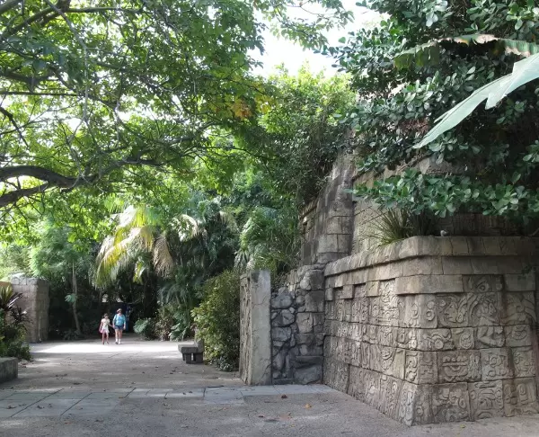 Carvings on the temple in the Tropics of the Americas exhibit.
