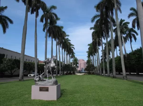 Row of palms between the Society of the Four Arts and the trail.