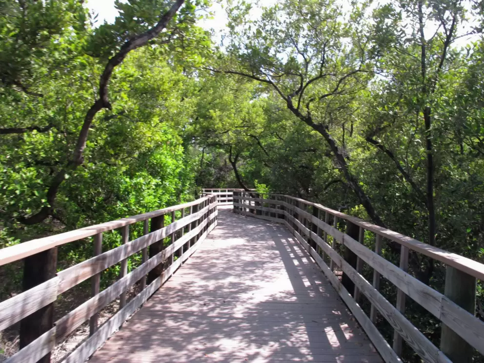 Wooden boardwalk that runs along the coast at Anne's Beach.