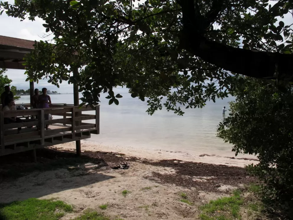 Shady spots by the water.