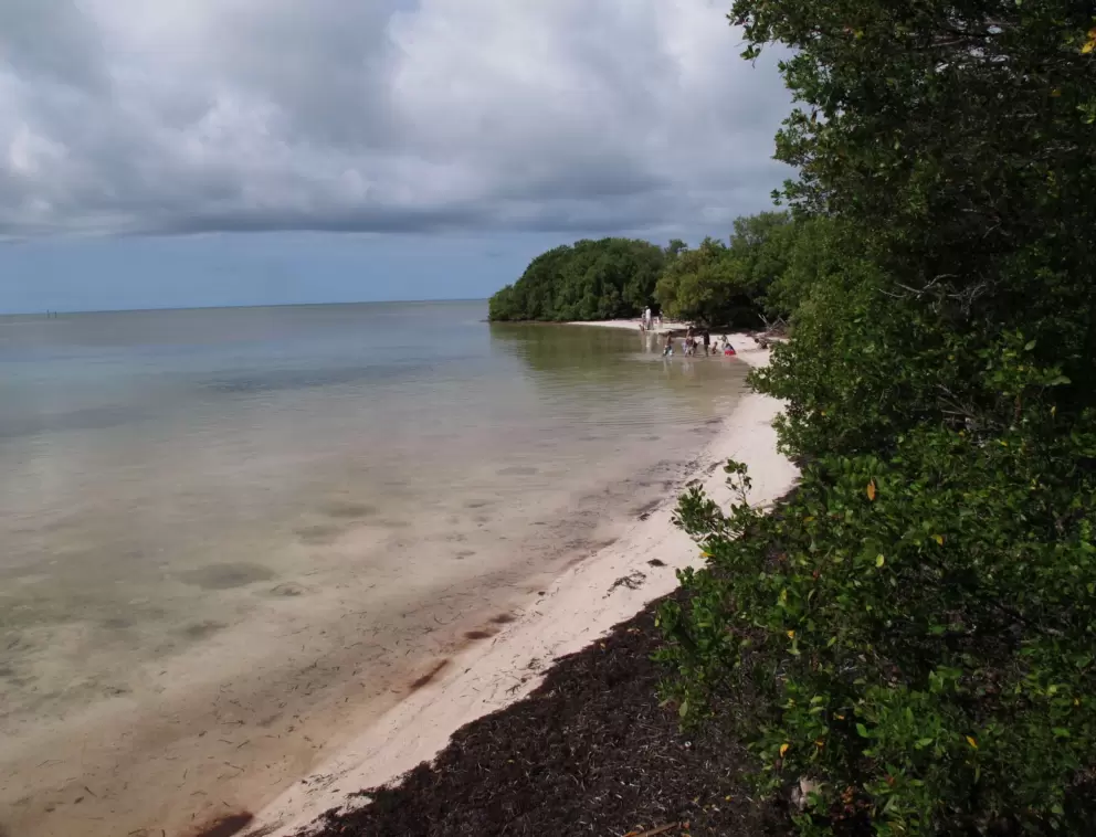 The beach has a pretty curve to it.