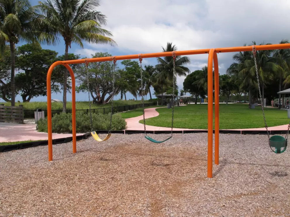 Swings in a pretty setting.