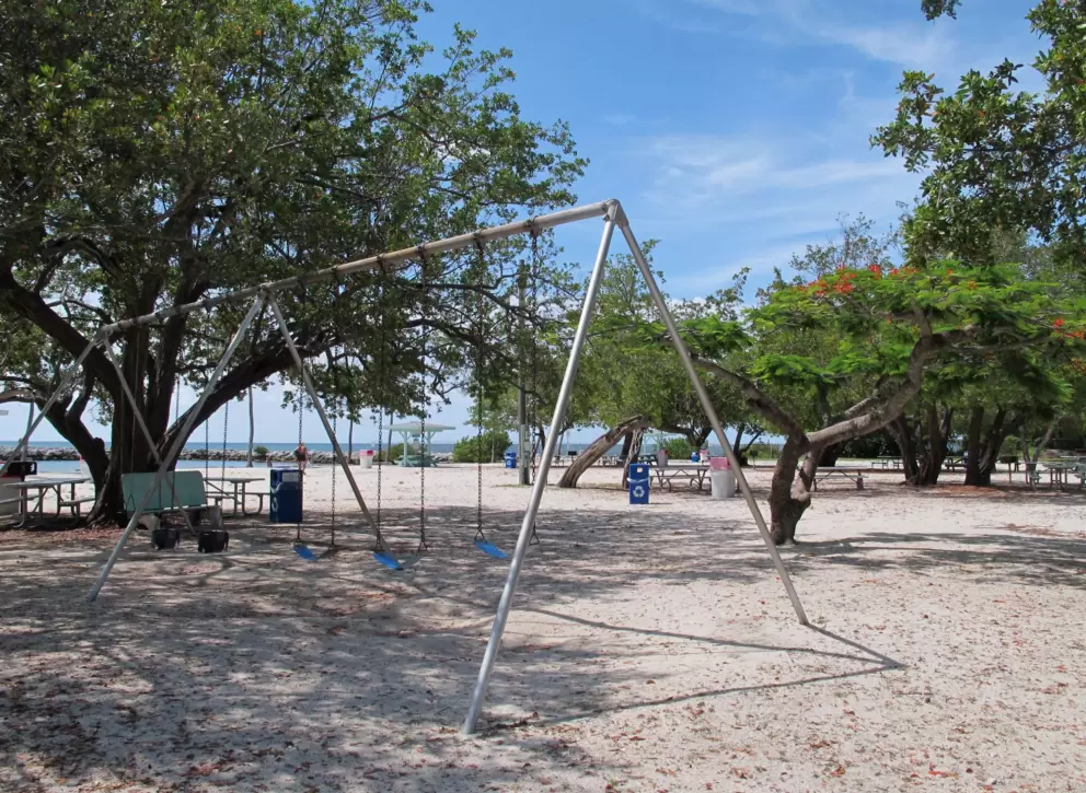 Swings in the shade!