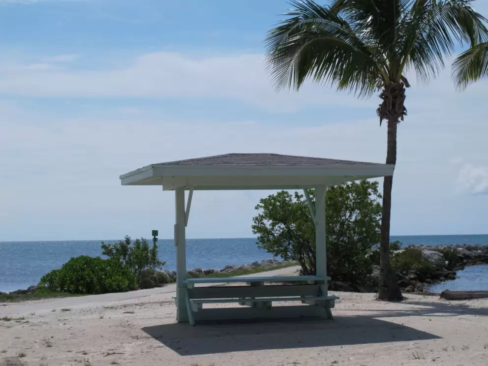 Picnic table with shade and a view on both sides.