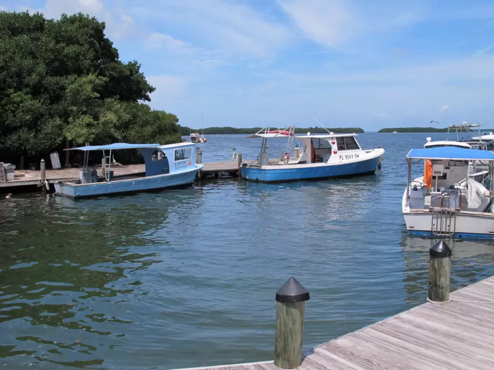 Colorful scene at the docks.