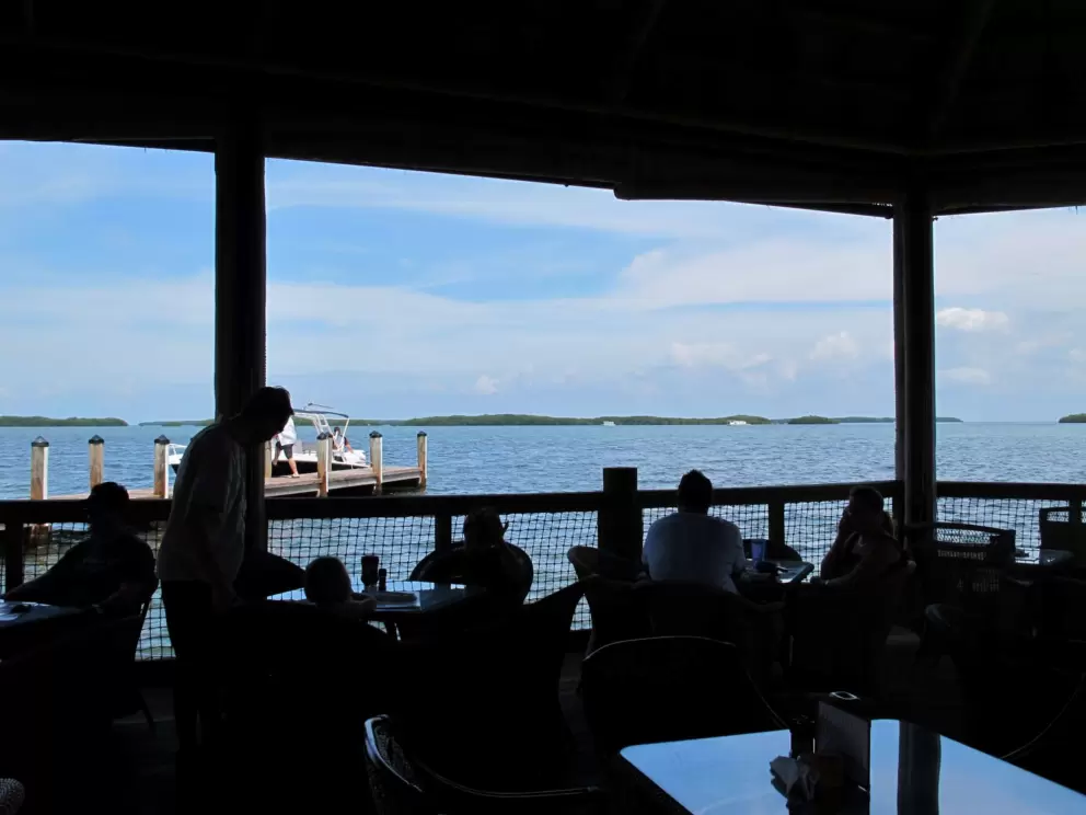 View from the dining area.