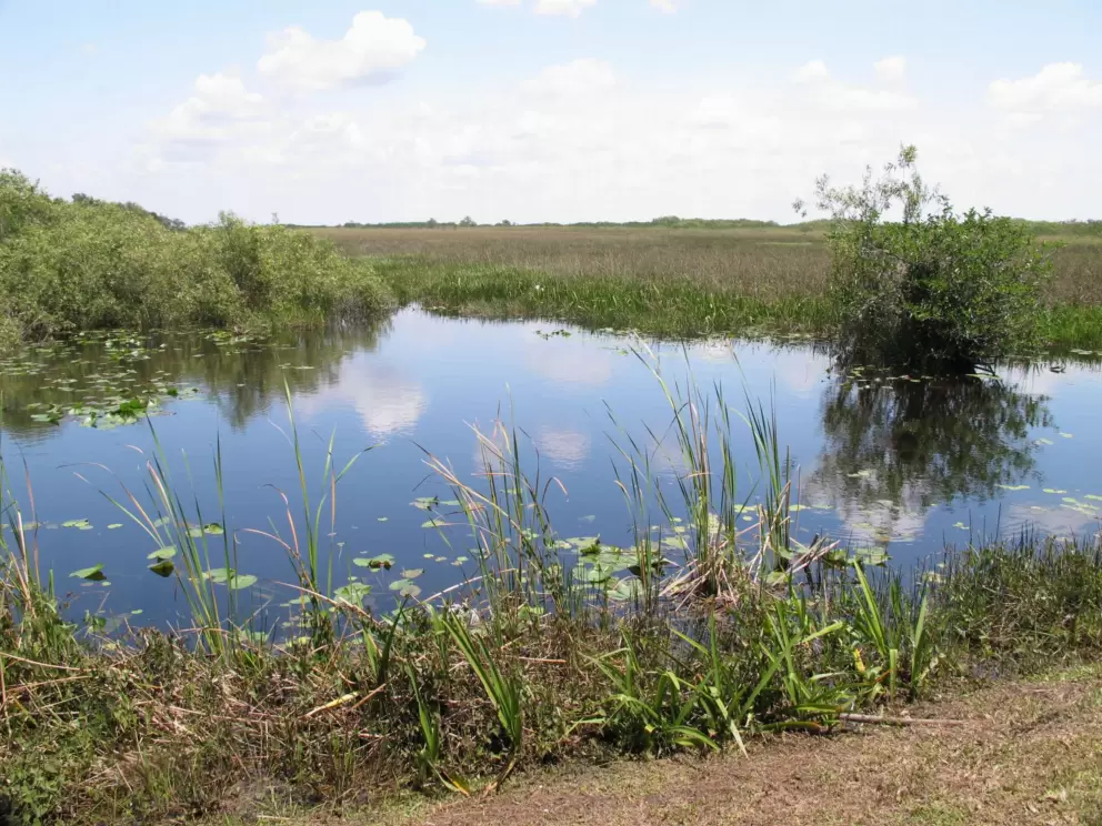 Open land as far as you can see.