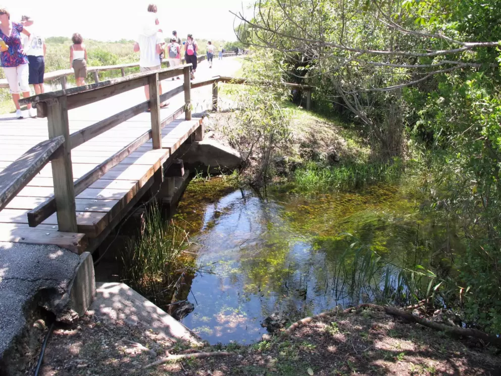 The clearest water lies below the bridge.