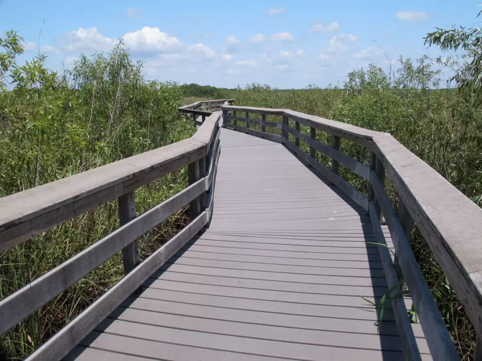 Wooden walkways- bring a hat because there's no shade!