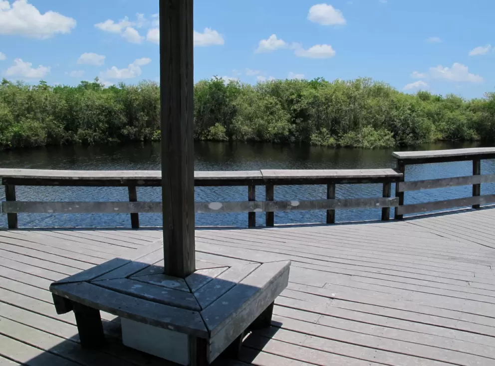 A shady spot to rest.