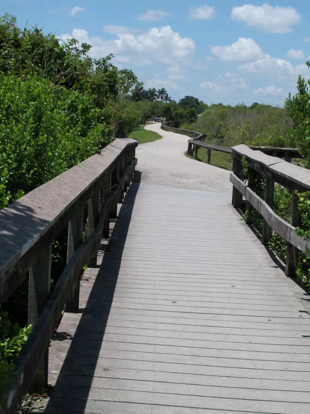 The winding pathway back.