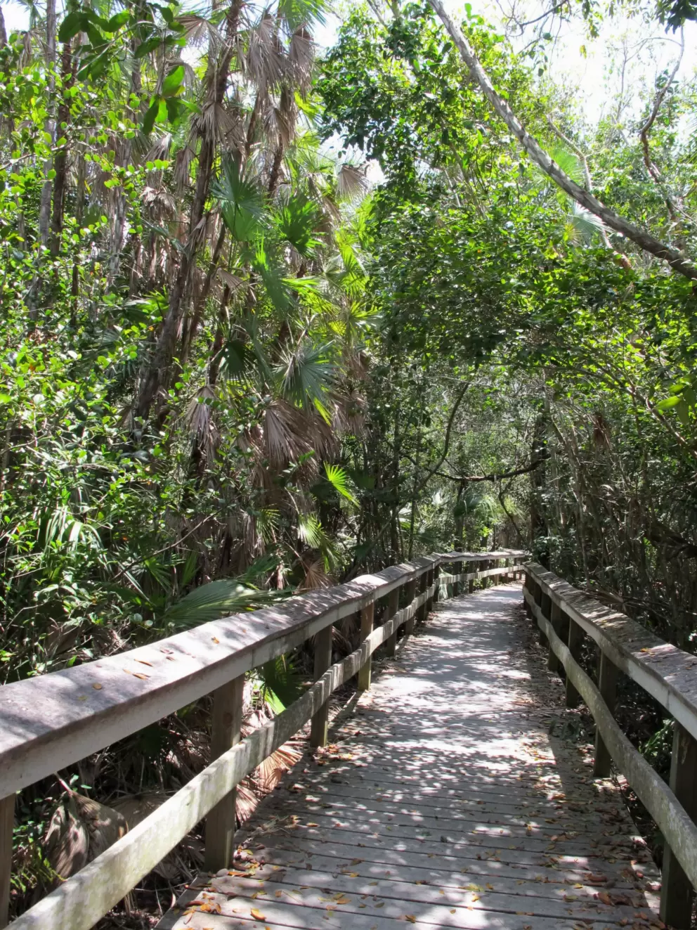 The shady walkway.