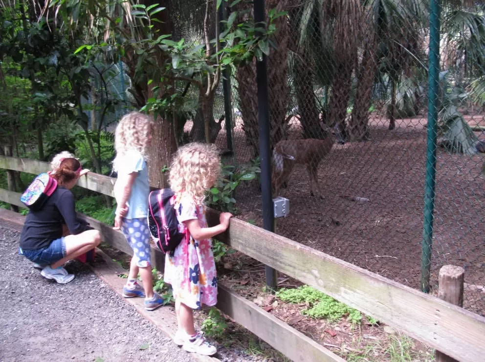 Little blond sisters looking in on the deer exhibit.