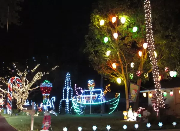Giant light bulbs on tree and house.