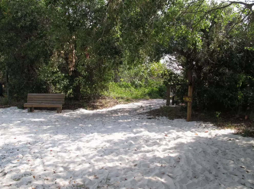 The white white sand at the beginning of the trail down to the beach.