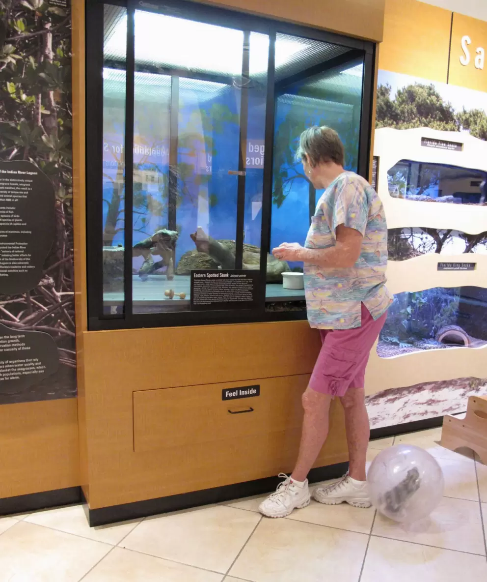 See the skunk running around in his clear plastic ball!