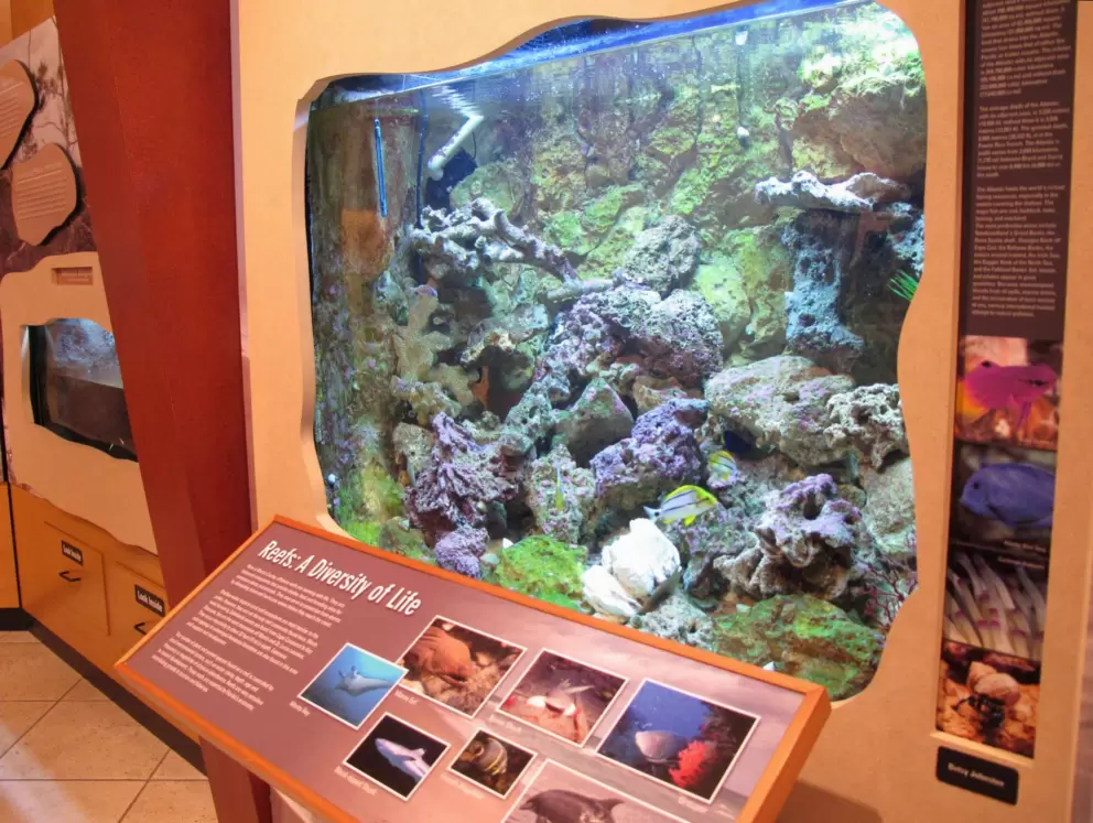 Reef exhibit.