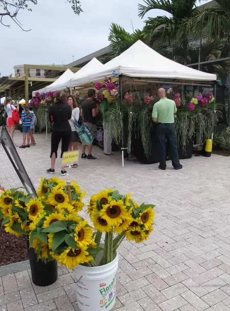 Sunflowers and stall behind.