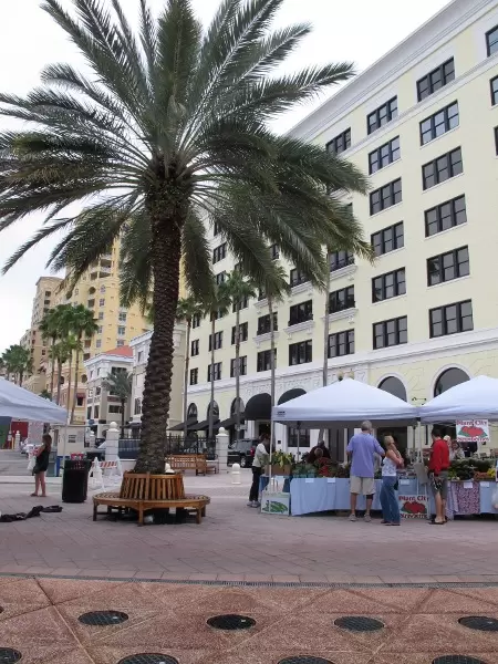 Modern buildings and bench around a palm.