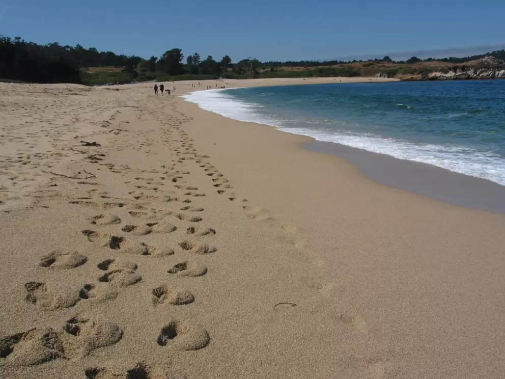 Take a long stroll along the perfect sands of Carmel River State Beach!