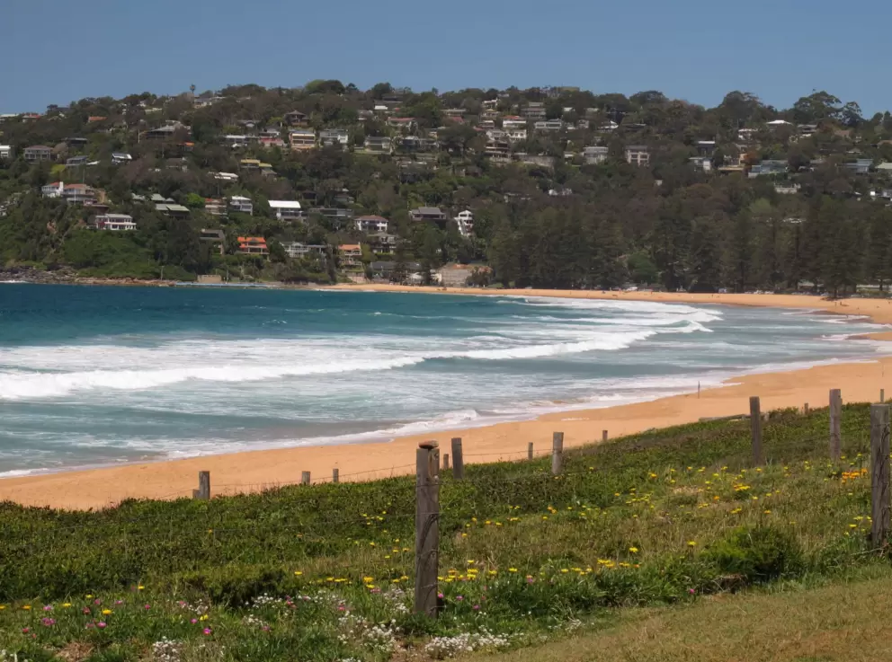 Views across to the beachhouses above Palm Beach South.