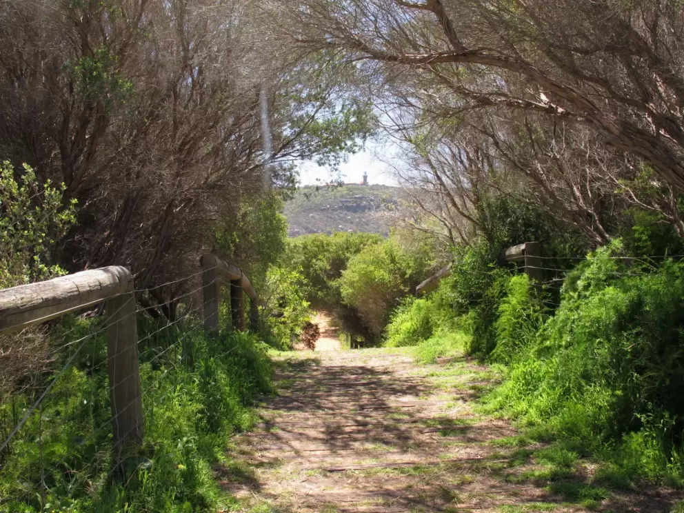 Hiking trail with Barrenjoey Lighthouse in the distance.