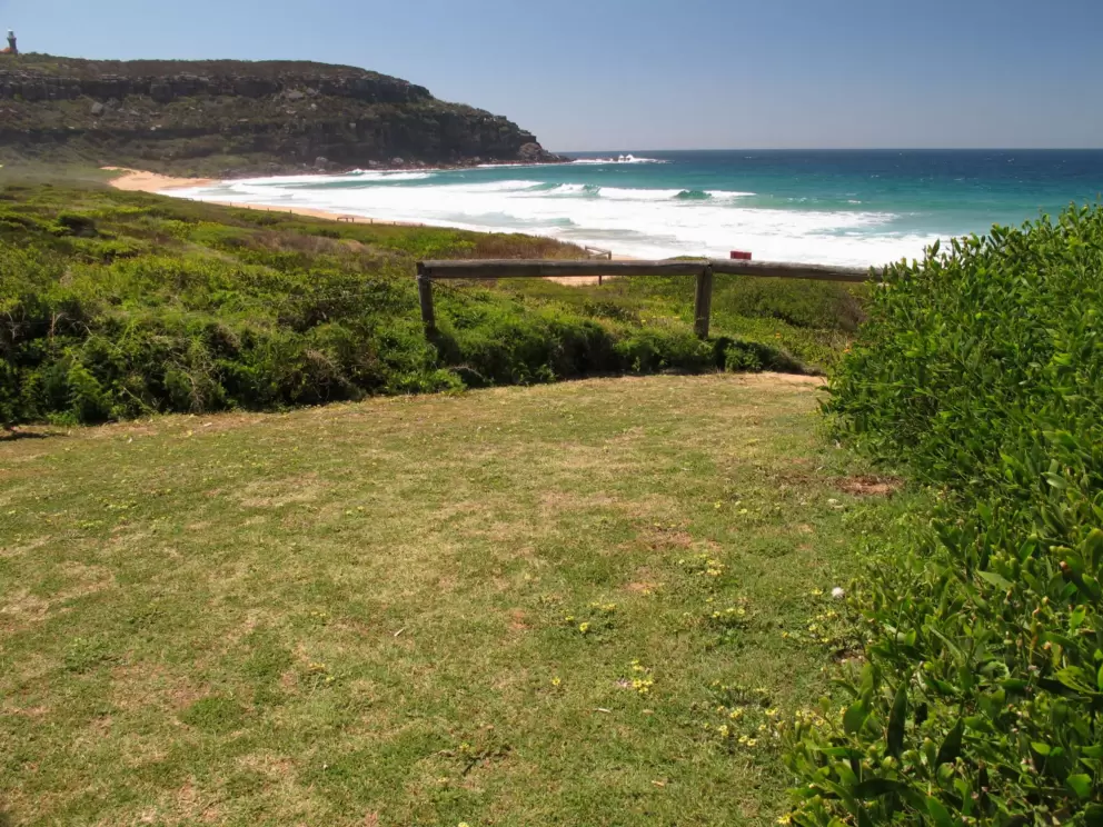 Grassy spot above Palm Beach North.