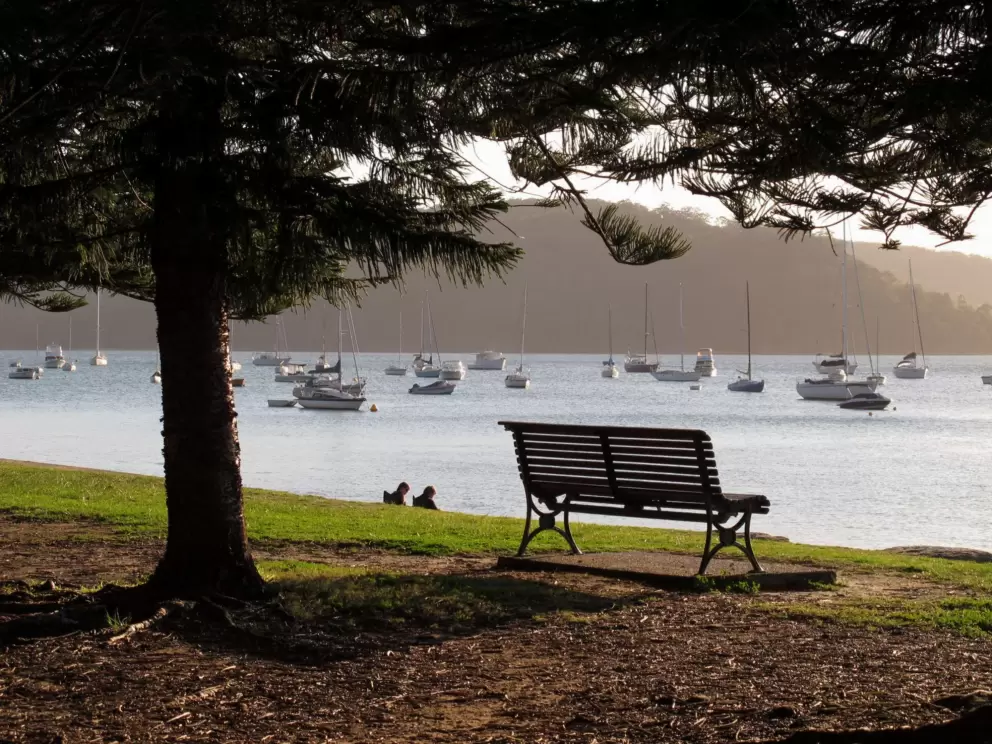 Bench with a view.