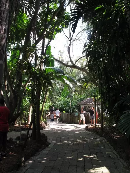 The beautiful vegetation.
