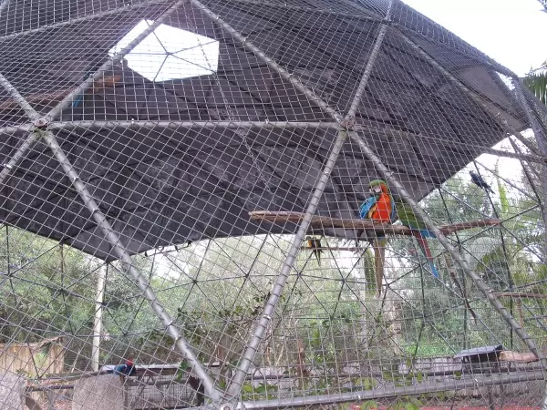 The parrot in its geodesic dome.