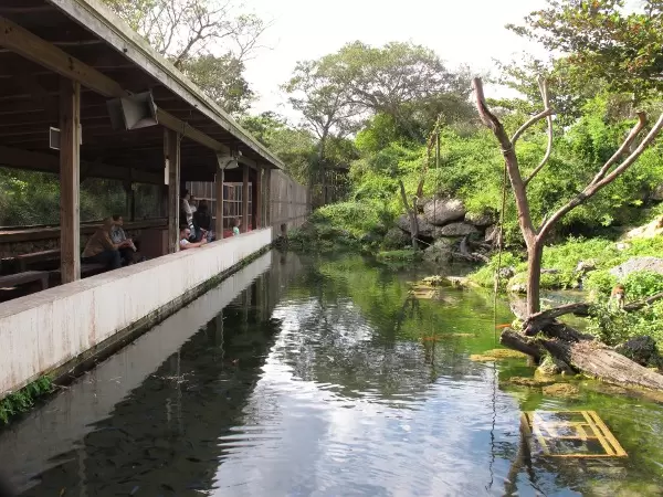 The pond is a lovely area.