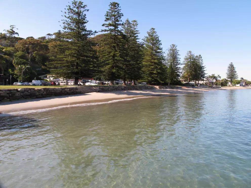 View as you leave Palm Beach wharf, looking back at Snapperman Beach.