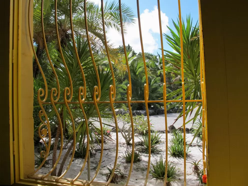 Yellow window and desert plants outside.