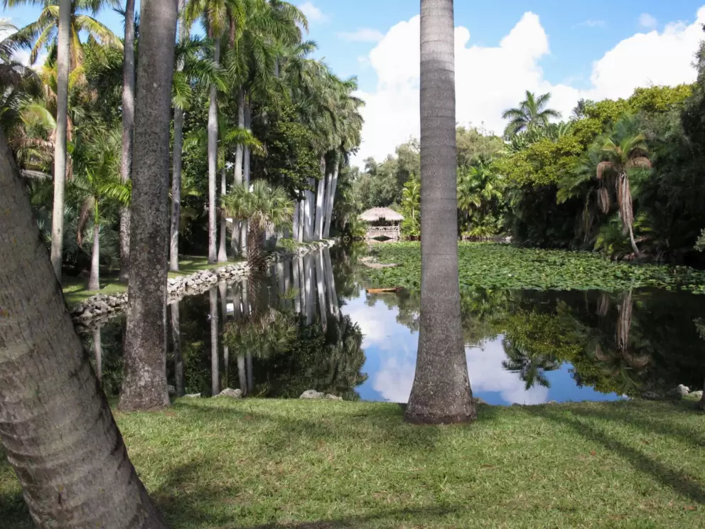 The tropical garden.