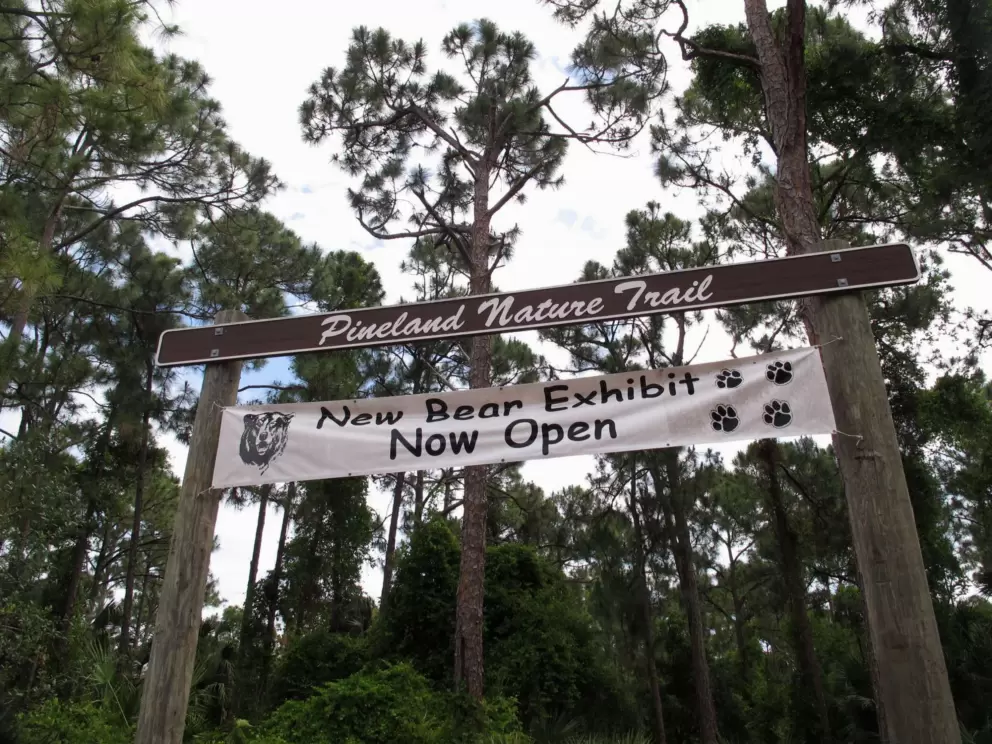 It's nice that the bear exhibit is in the forest.