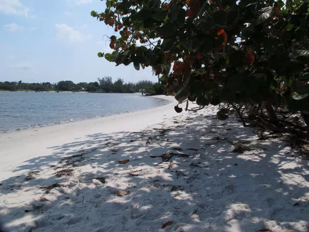 A shady spot to sit.