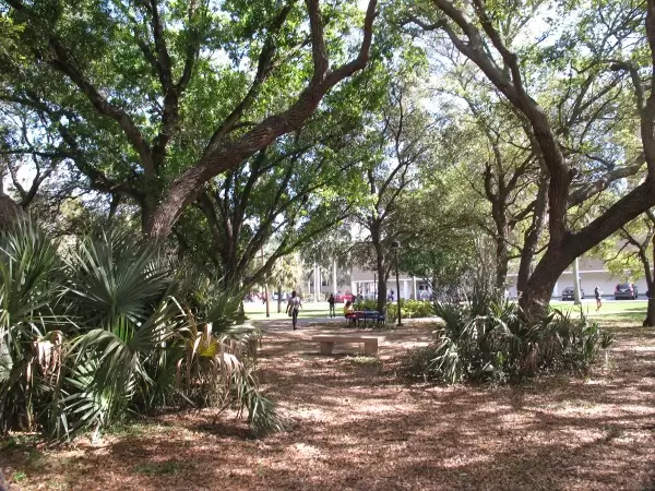 Florida Atlantic University, Boca Raton