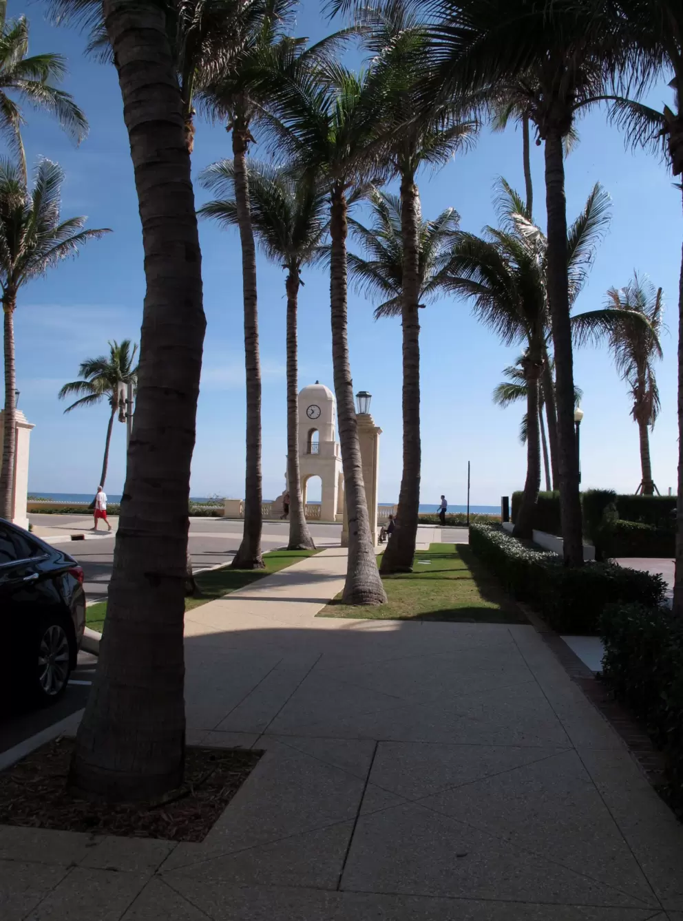 Palms galore as you reach the beach.