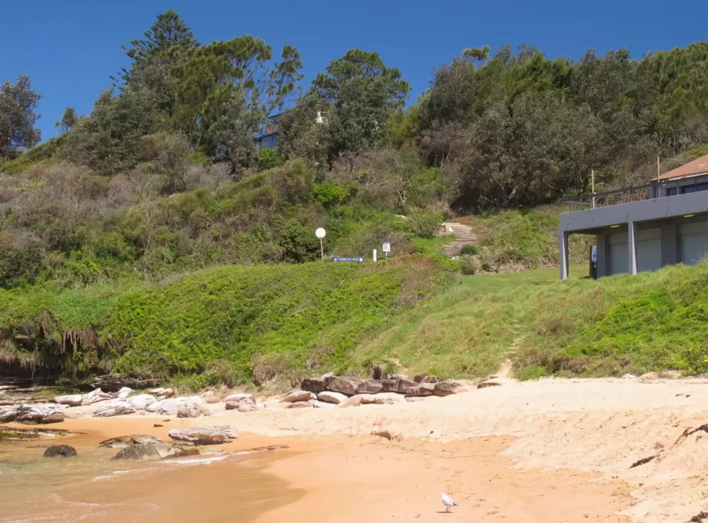 The path up to Turrimetta Headland is surrounded by the greenest grass.