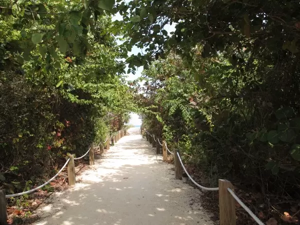 The gorgeous pathway to the beach behind the museum.
