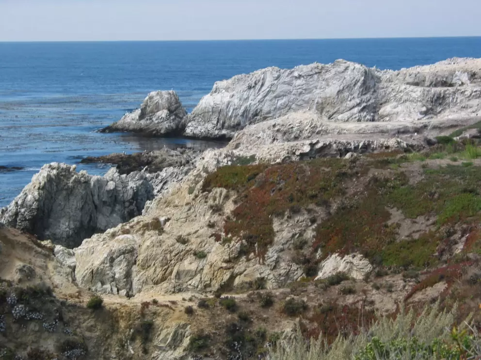Bird Island area.