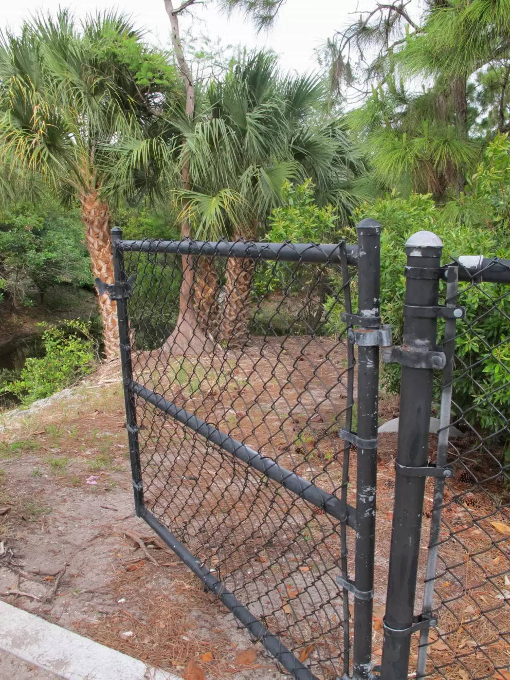 Gate to nature...