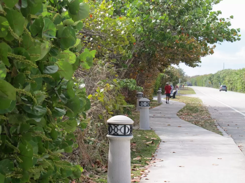 The shade really reaches over the walking path!