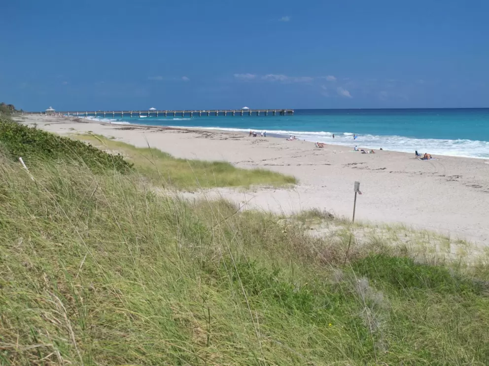 The bright happy colors of the water and dune grass.