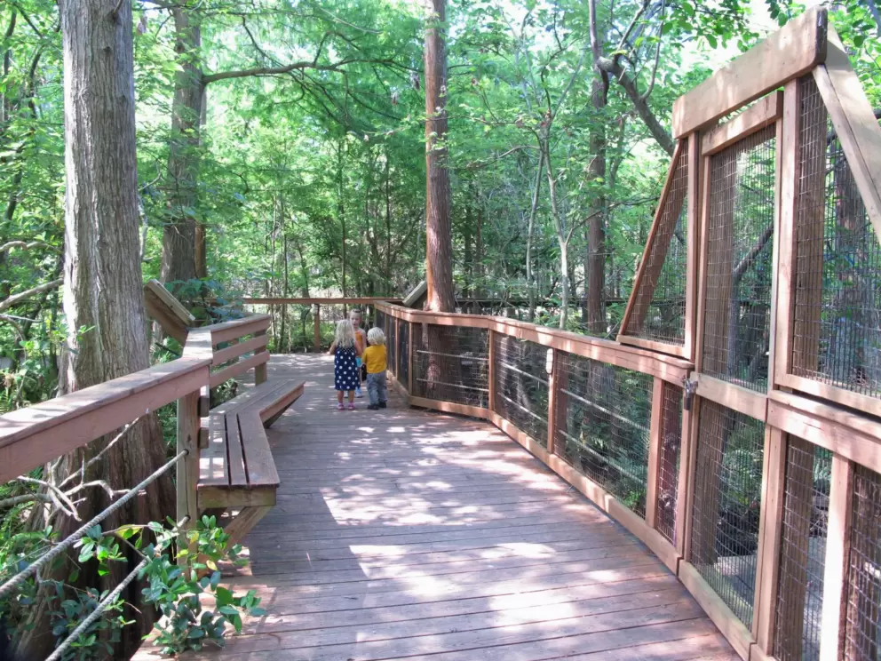 Children walking through the sanctuary.