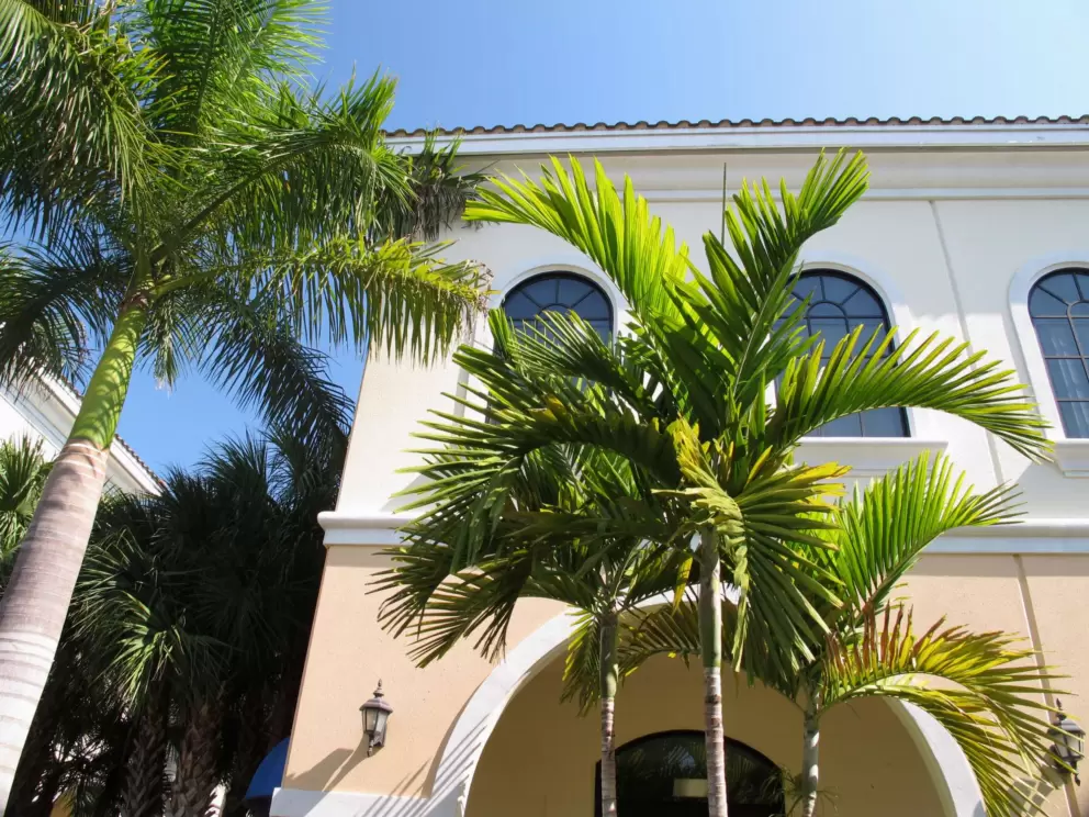 Strolling along University Blvd, enjoying the tropical foliage.