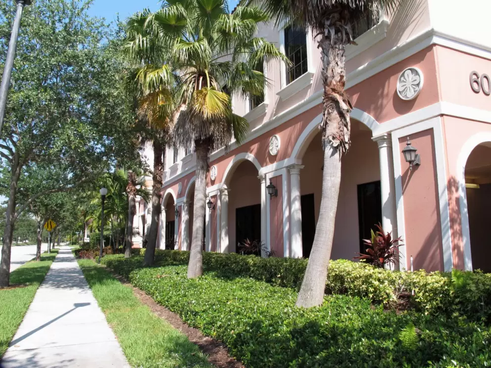 Palms, pink archways, and decorative circles on University Blvd.