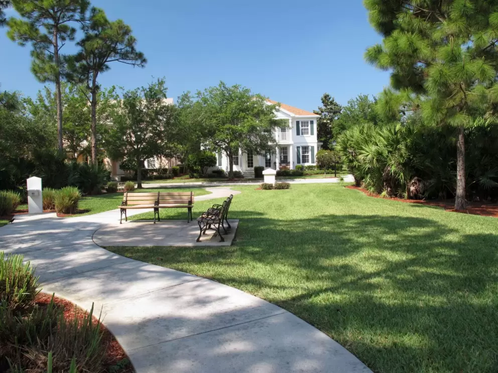 Lovely shaded walkway with benches in Cambridge neighborhood.